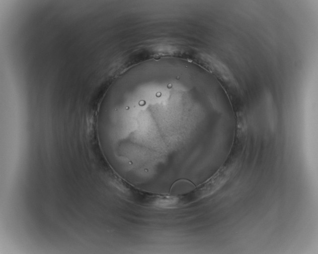 X0000111030369200907021543