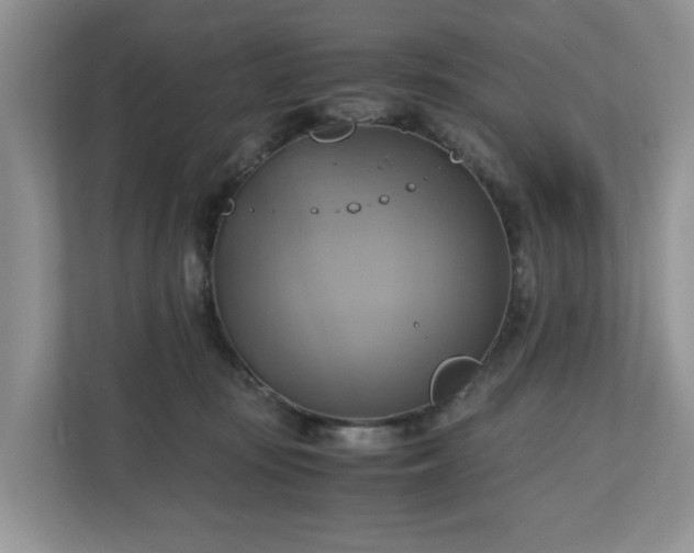 X0000111030371200907021543