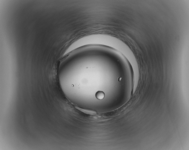 X0000111030372200907021543
