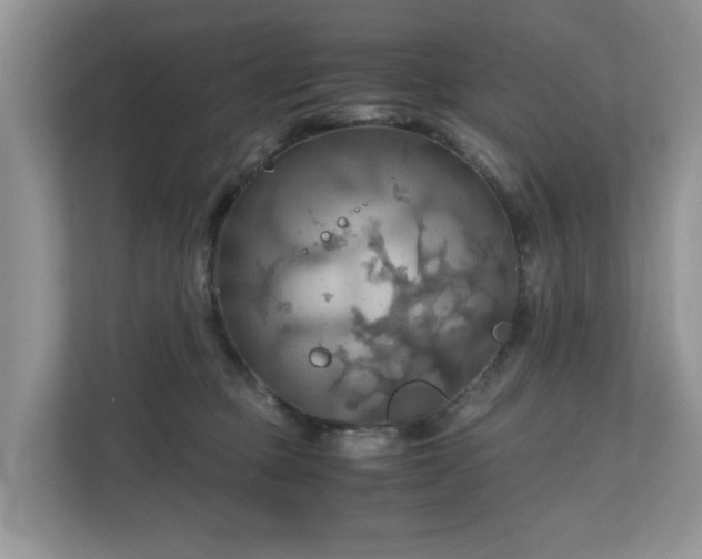 X0000111030373200907021543