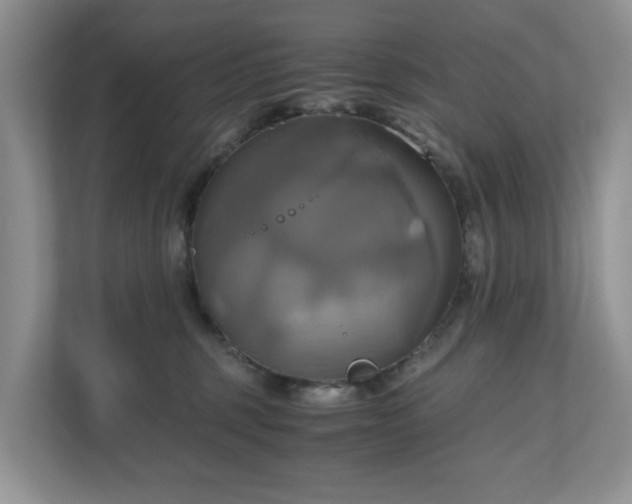 X0000111030375200907021543