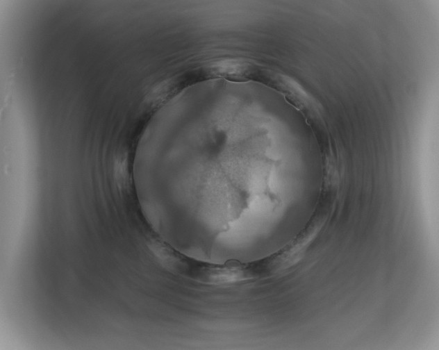 X0000111030377200907021543