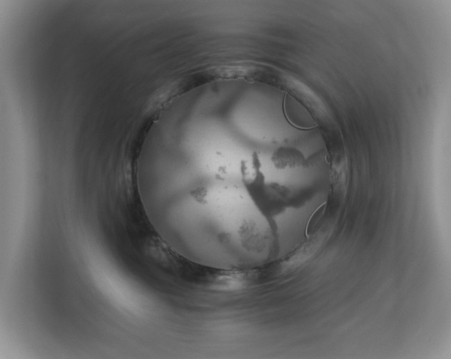 X0000111030381200907021543