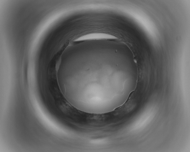 X0000111030383200907021543