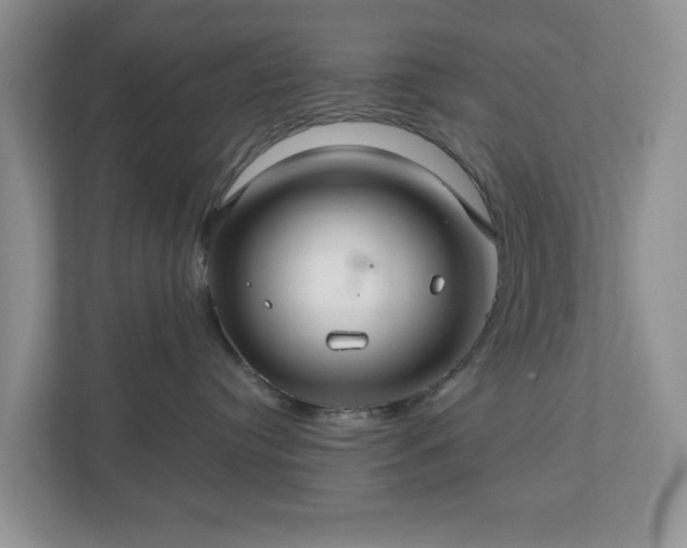 X0000111030384200907021543