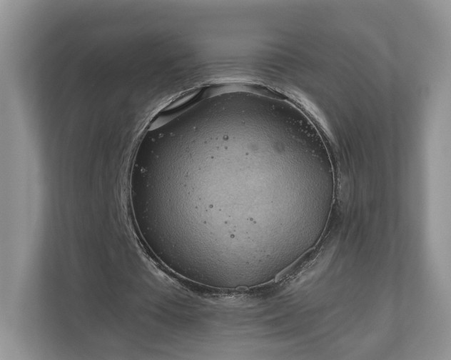 X0000111030385200907021542