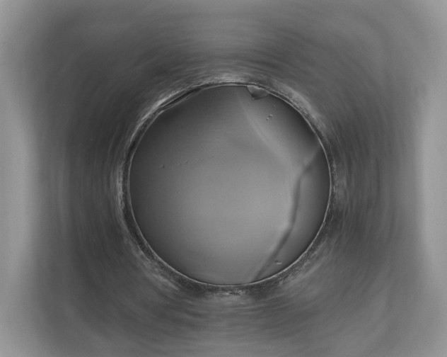 X0000111030386200907021542