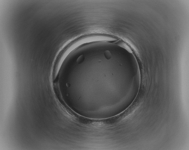 X0000111030391200907021542