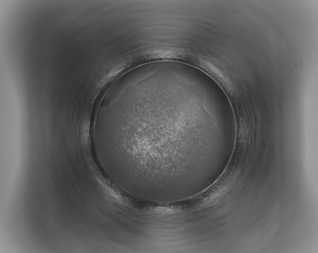 X0000111030394200907021542