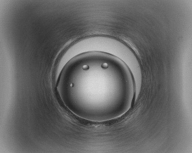 X0000111030395200907021542