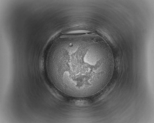 X0000111030400200907021542