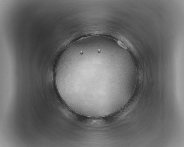 X0000111030401200907021542
