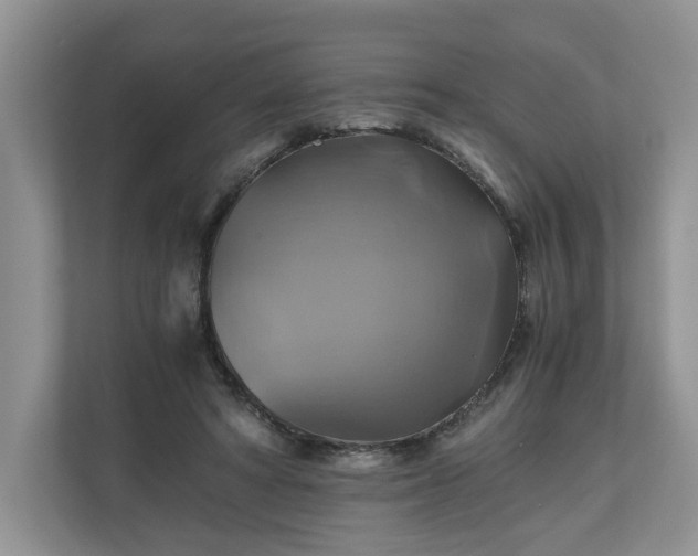 X0000111030402200907021542