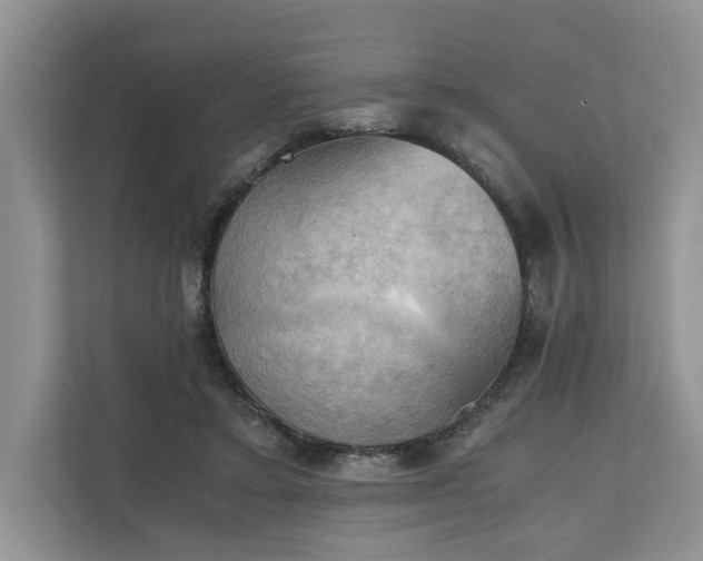 X0000111030403200907021542
