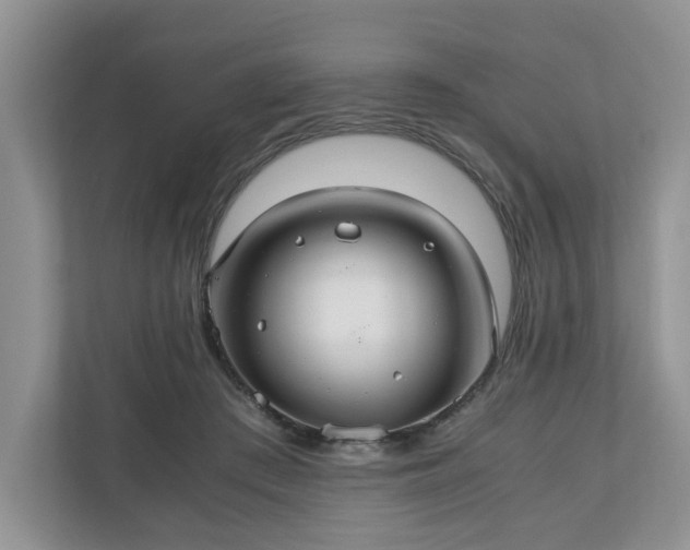 X0000111030409200907021542