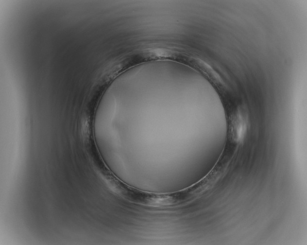 X0000111030410200907021542