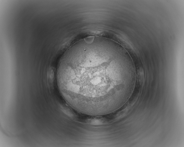 X0000111030412200907021542