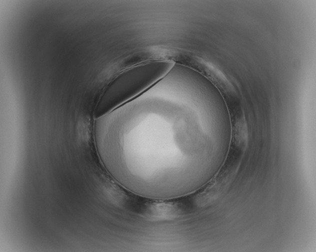 X0000111030413200907021542