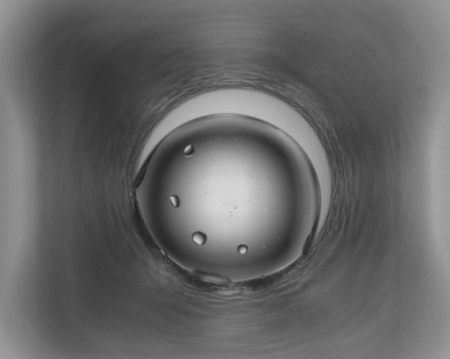 X0000111030415200907021542