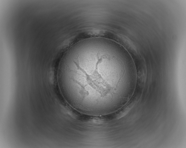 X0000111030416200907021542