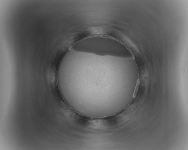 X0000111030417200907021542
