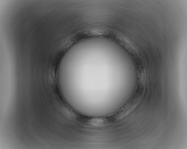 X0000111030418200907021542