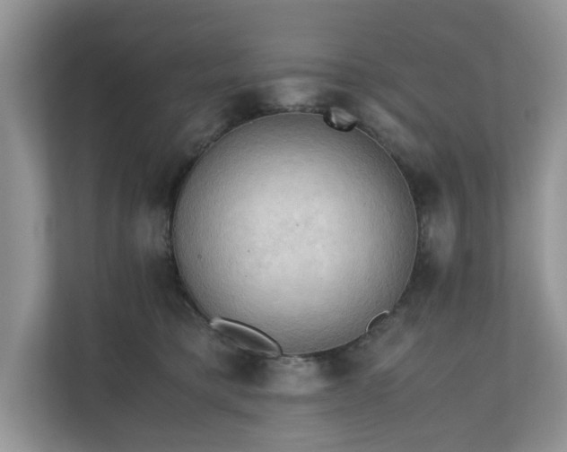 X0000111030421200907021542