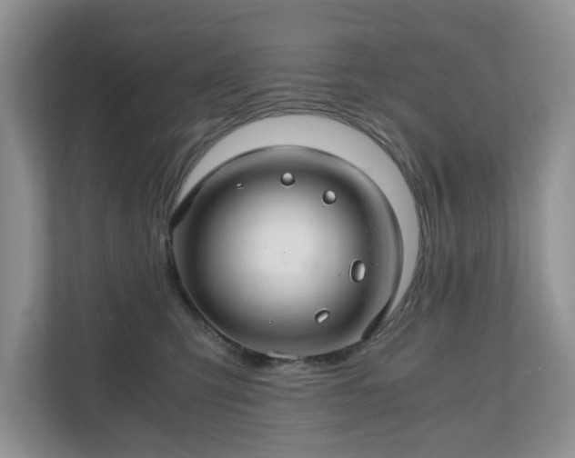 X0000111030423200907021542