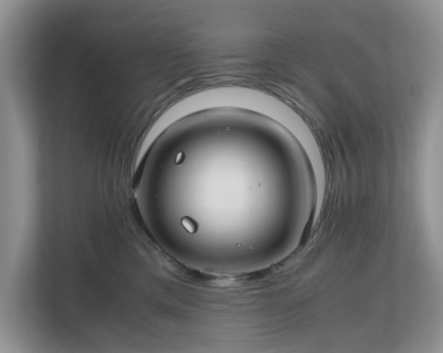 X0000111030425200907021542