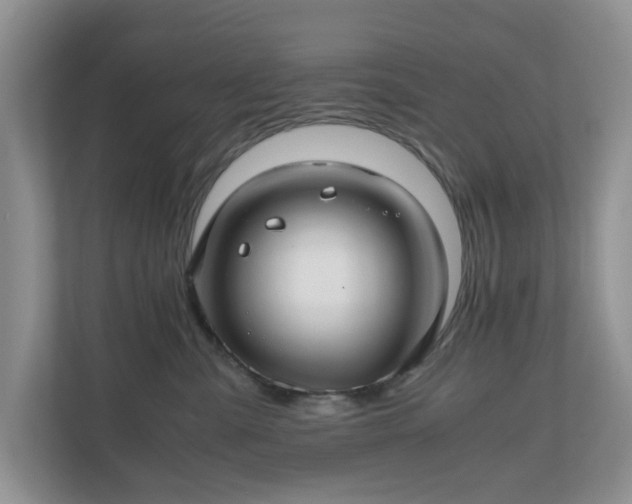 X0000111030427200907021542