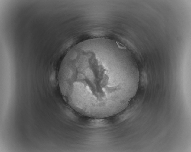 X0000111030428200907021542