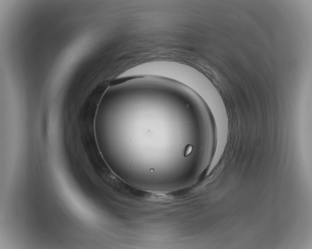 X0000111030429200907021542