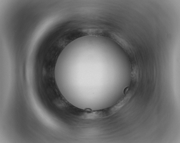 X0000111030430200907021542