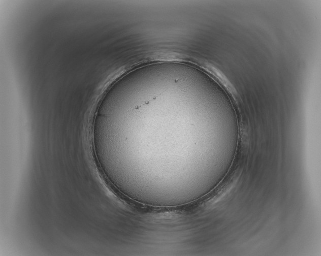 X0000111030433200907021541