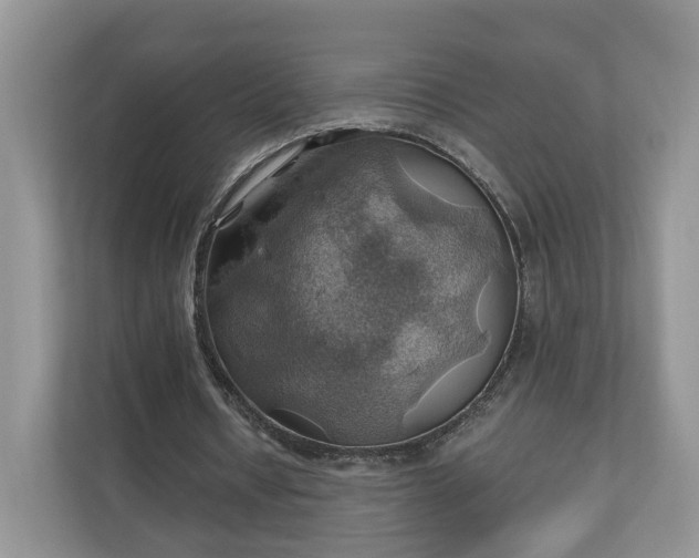X0000111030434200907021541