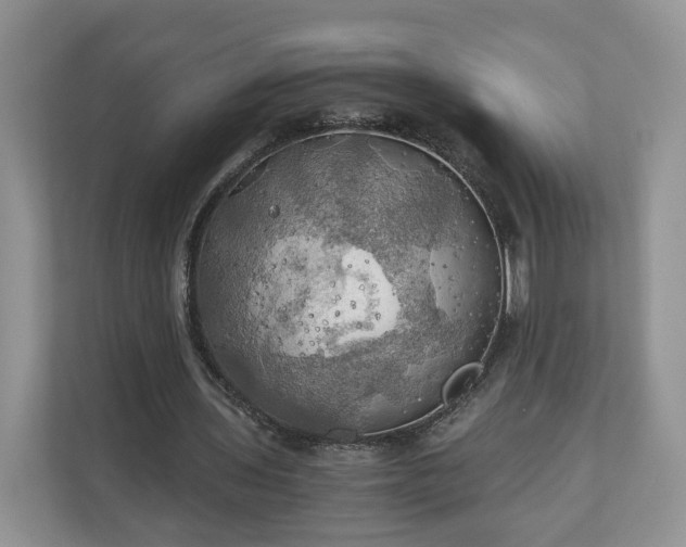 X0000111030435200907021541