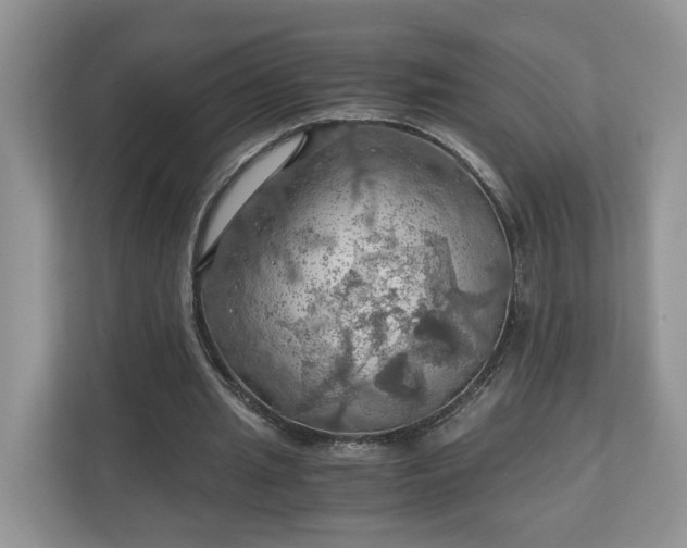 X0000111030437200907021541