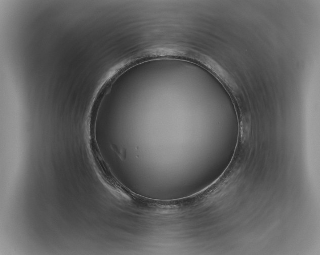 X0000111030438200907021541