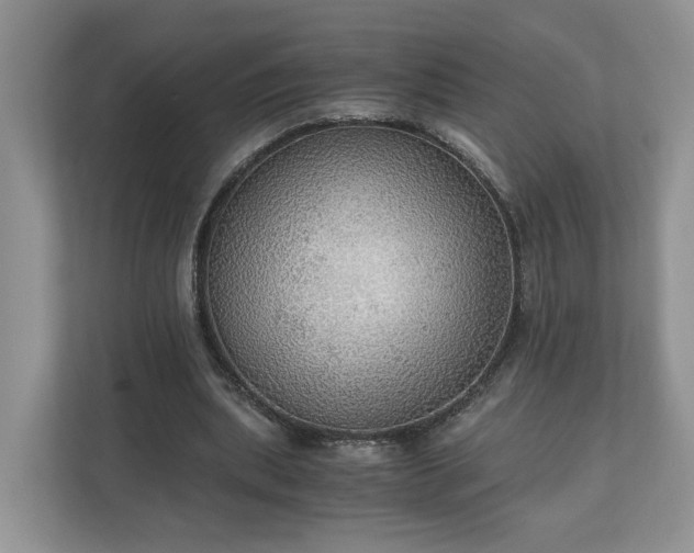 X0000111030439200907021541