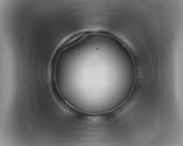 X0000111030440200907021541