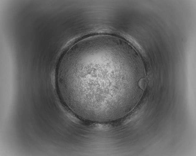 X0000111030442200907021541