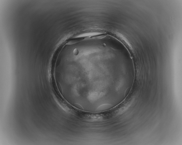 X0000111030443200907021541
