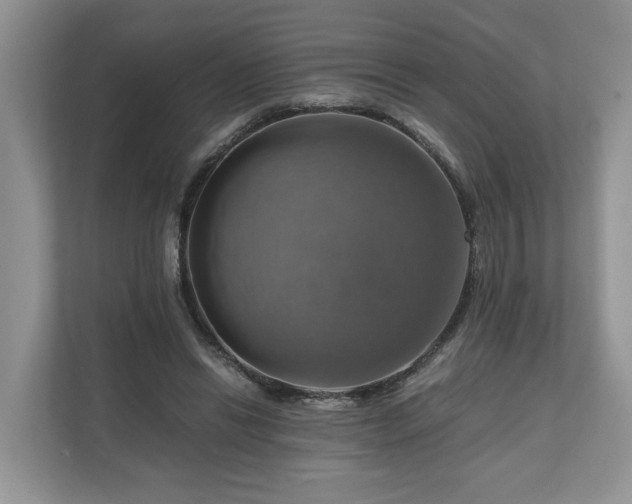X0000111030446200907021541