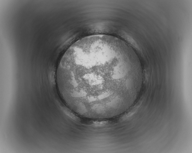 X0000111030450200907021541
