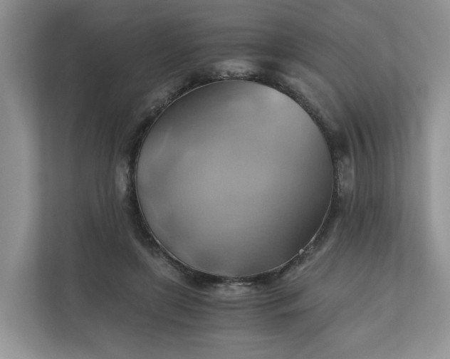 X0000111030451200907021541