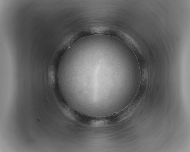 X0000111030452200907021541