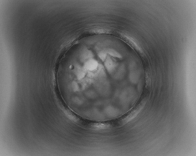 X0000111030453200907021541