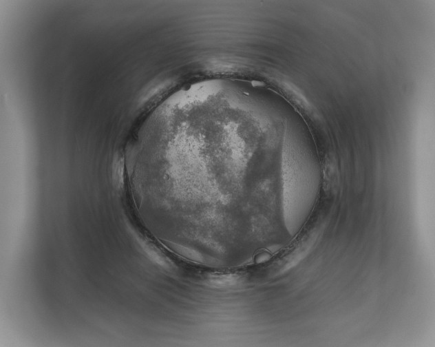 X0000111030454200907021541