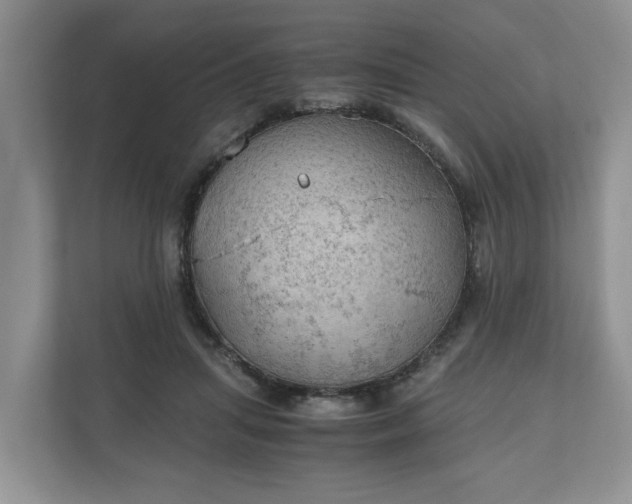 X0000111030455200907021541