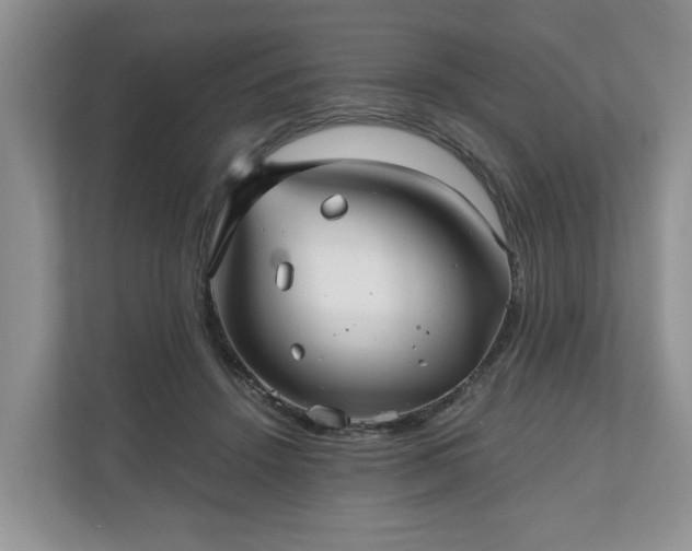 X0000111030456200907021541